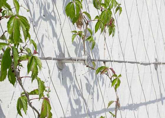 Architectural Surface Stainless Steel Wire Rope Mesh Green Plant Climbing Wall Netting