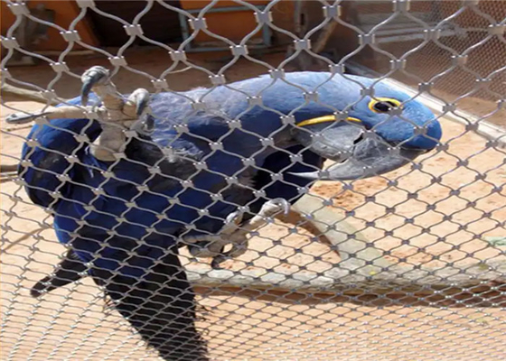 Anti Corrosive Inox 304 Zoo Wire Mesh In Diamond Hole