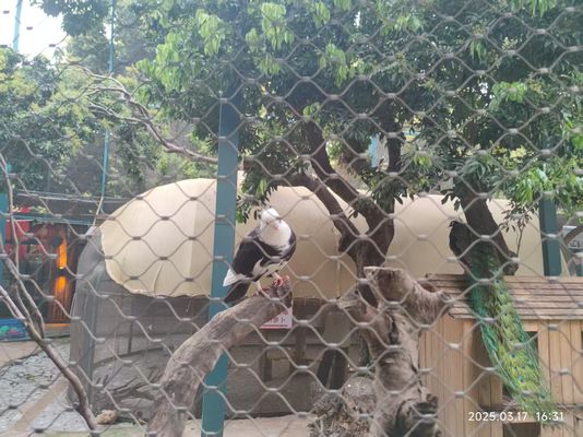 Stainless Steel X Tend Cable Mesh For Garden Fence And Bird Cage