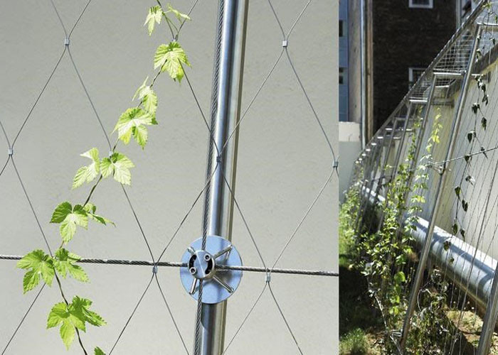 Architectural Surface Stainless Steel Wire Rope Mesh Green Plant Climbing Wall Netting