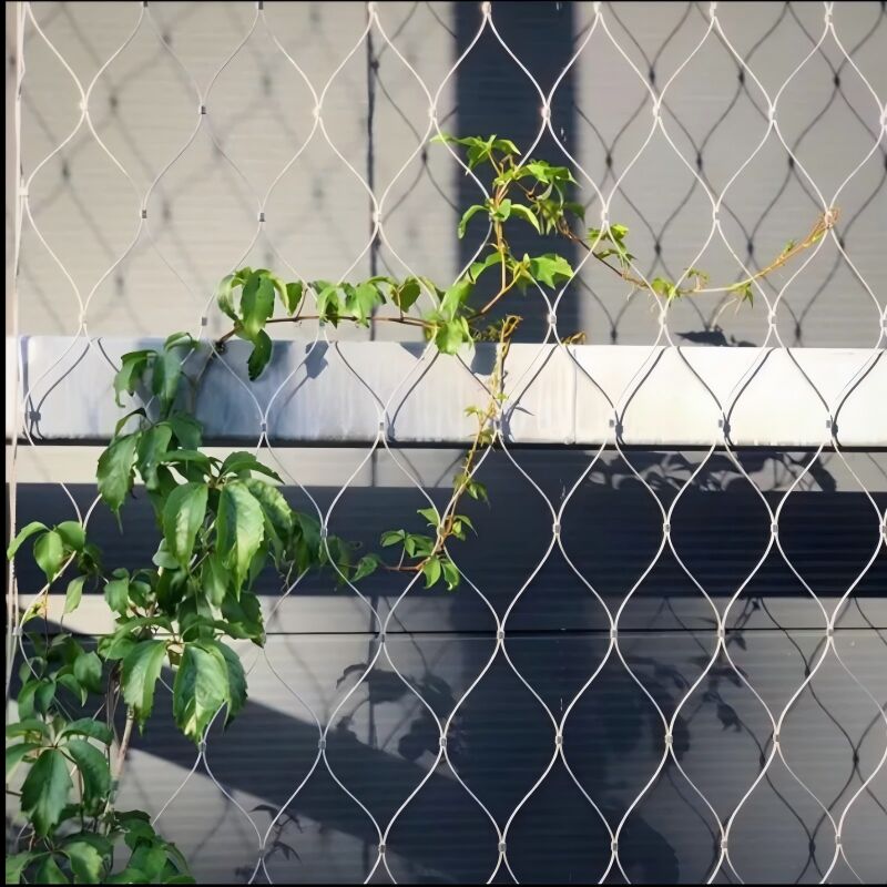 Ferrule Type Stainless Steel Rope Net For Green Plants Climbing