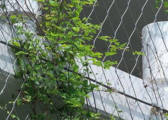 上昇の植物の腐食証拠のためのAISI316 2.5mmの鋼線の網