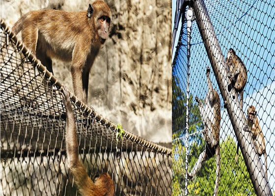 1.5mmワイヤー直径のステンレス鋼の鳥の網のあや織り織り方のカートン箱の包装