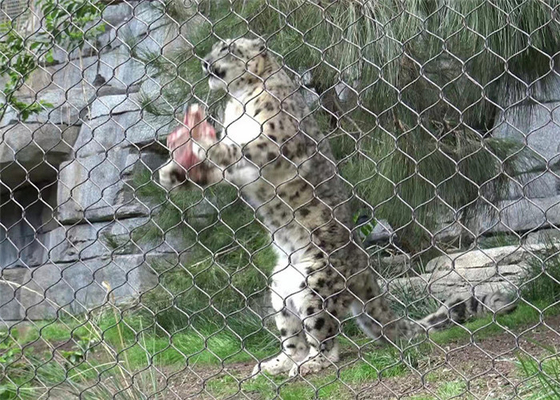 X-Tend 耐久性ステンレス鋼ケーブルメッシュ 動物園のフェンスメッシュ構造のための7 * 7