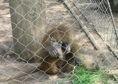高い抗張動物学動物のエンクロージャの網3.0mm結ばれたロープの網