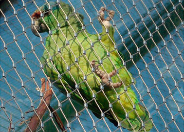 フェルラステンレス鋼の鳥の飼鳥園の金網の網