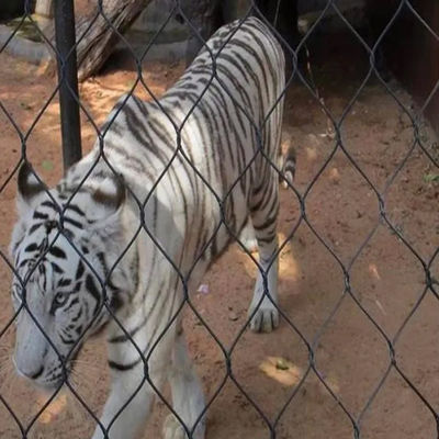 柔らかいステンレス鋼鉄ワイヤ 保護用動物園用ワイヤ・メッシュ