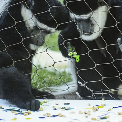 3mmロープワイヤーメッシュ 動物園のための保護ケージ 庭園の安全 屋外フェンス