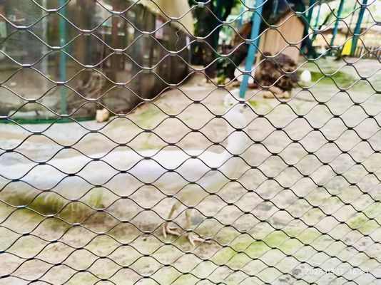 ロープ 動物園 フェンシング 網 ステンレス 鋼 ロープ 鳥 巣 網
