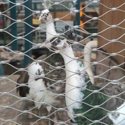 鳥居用ワイヤ網 柔らかいワイヤロープケーブル網 動物園の囲み