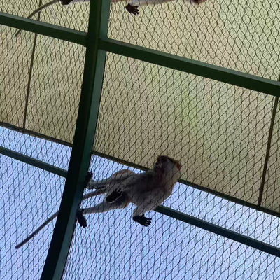 ステンレス鋼 織布ワイヤロープ網 鳥網 鳥居動物園 囲み 斜面保護
