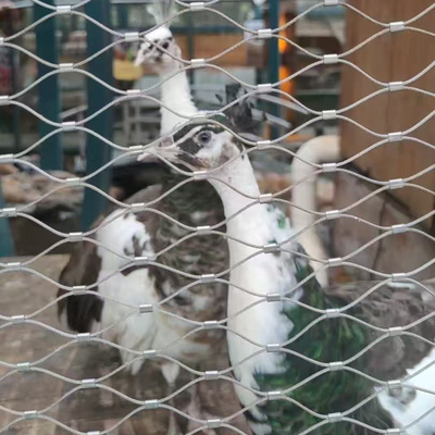 316 鳥の巣のための不?? 鋼柔軟ケーブル網網