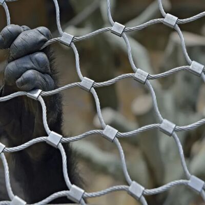 安全 障壁 に 設計 さ れ た 頑丈 な ステンレス スチール ケーブル メッシュ