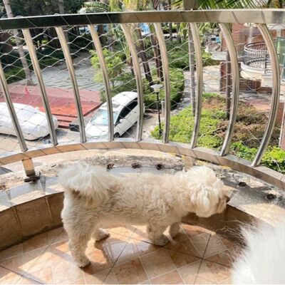 動物園のセキュリティフェンス用フレキシブルステンレス鋼ワイヤーロープメッシュ、鳥小屋保護ネット