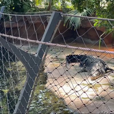 Flexible Stainless Steel Wire Ferrule X Tend Cable Mesh Net for Zoo Bird Aviary Net