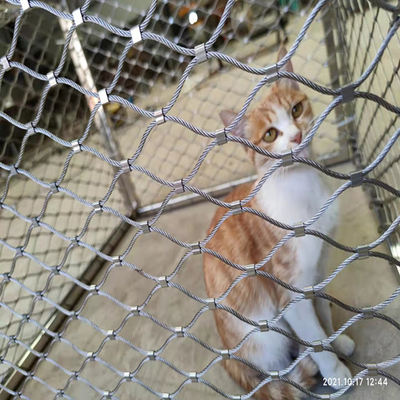 金属Xは鳥の飼鳥園の動物園の飼鳥園の網1 x 19をがちである