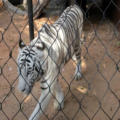 動物のおりのための7 x 7ステンレス鋼のフェルール ロープの網の高力塀
