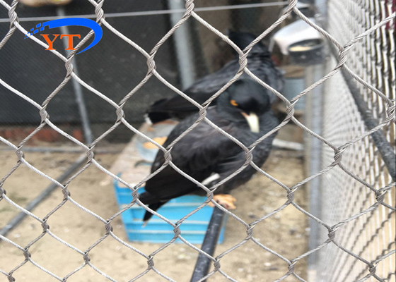 鳥の網の飼鳥園の塀鋼鉄ケーブルの網30*30mm