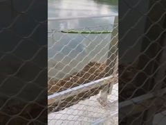 ワイヤロープ網のフェンス