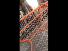 ワイヤロープ網のフェンシング