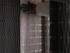 動物園用ワイヤ網 2