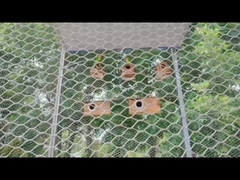 動物園の鳥の鳥巣網