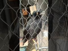 耐久性のあるソフトフェルールタイプの柔軟な金属製の丈夫なステンレス鋼の結び目ロープネット