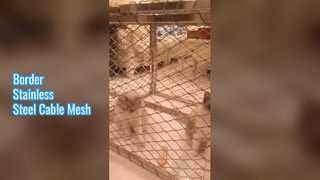 ボーダーステンレススチールケーブルメッシュ
