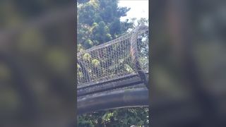 ステンレス鋼ロープネットガーデンフェンス落下防止