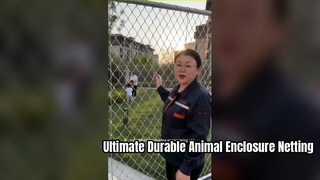 耐久性のあるステンレス鋼の鳥小屋と動物園の動物用ネット