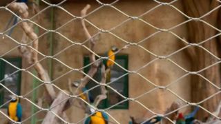 ステンレス鋼のワイヤーケーブルメッシュはどのように見えますか